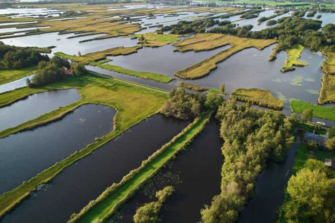 Waterrijke gebieden waar bodemdaling een grote rol speelt in veengebieden