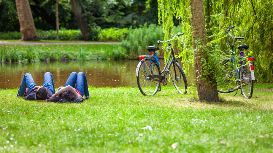 Park in Amsterdam met hoog grondwater