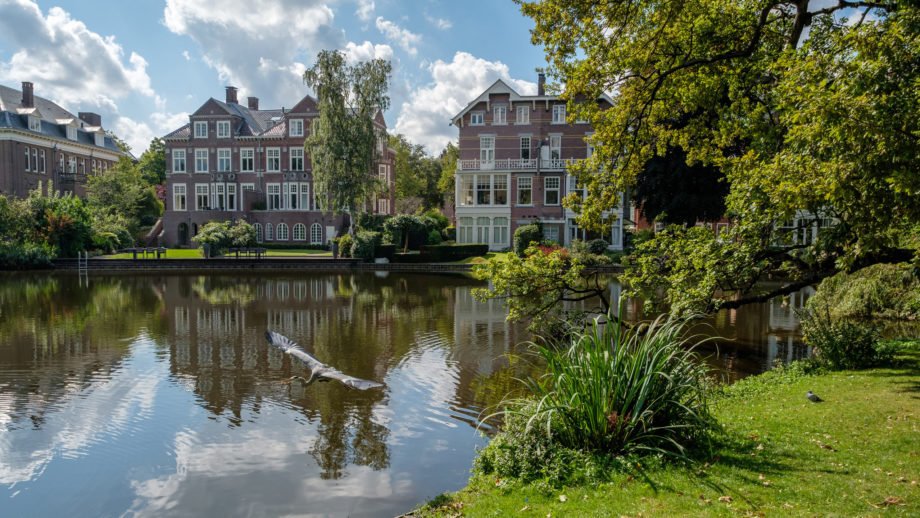 Groenvoorziening en bodemdaling in hartje Amsterdam.