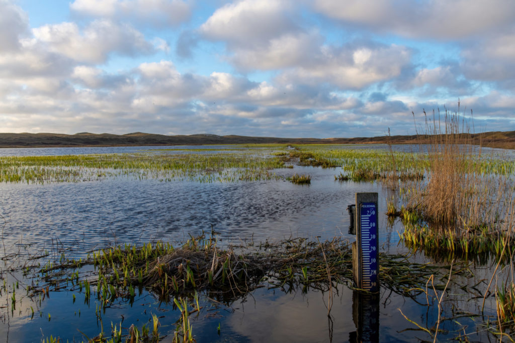 Fluctuaties in het grondwaterpeil (hoog én laag) kunnen leiden tot verzakking van huizen, wegen en riolen