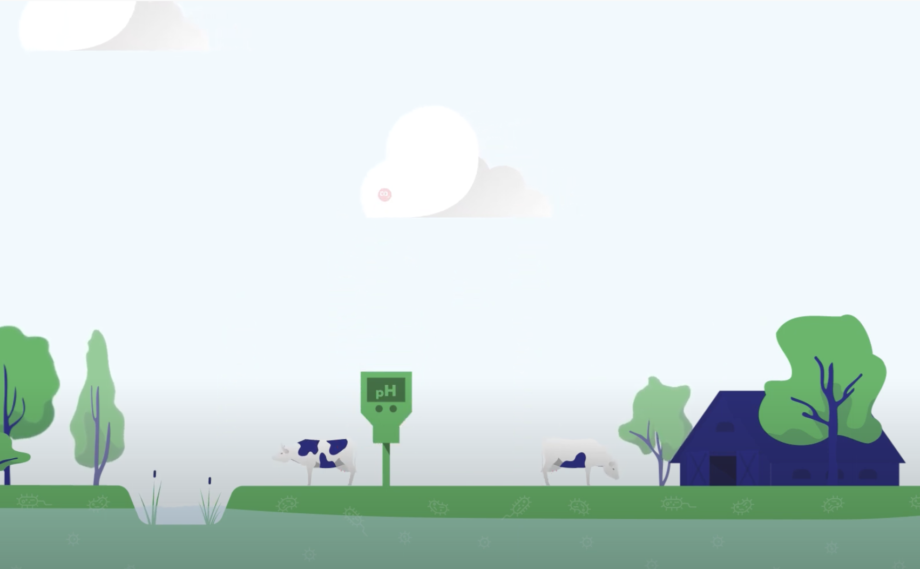 Animatie veenafbraak, broeikasgasemissies en maatregelen